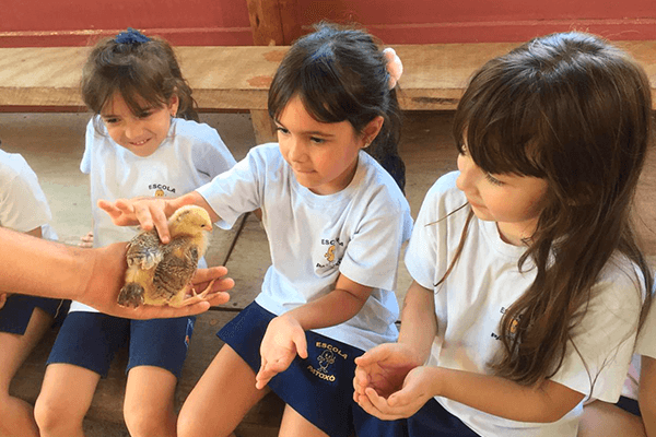 escola-simao-frugis-