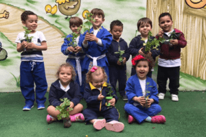 Quem Somos Simão Frugis